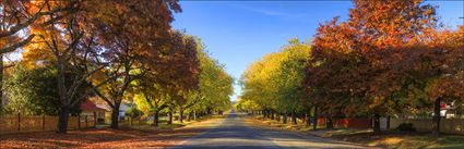 Finch Street - Beechworth - VIC (PBH4 00 13924)